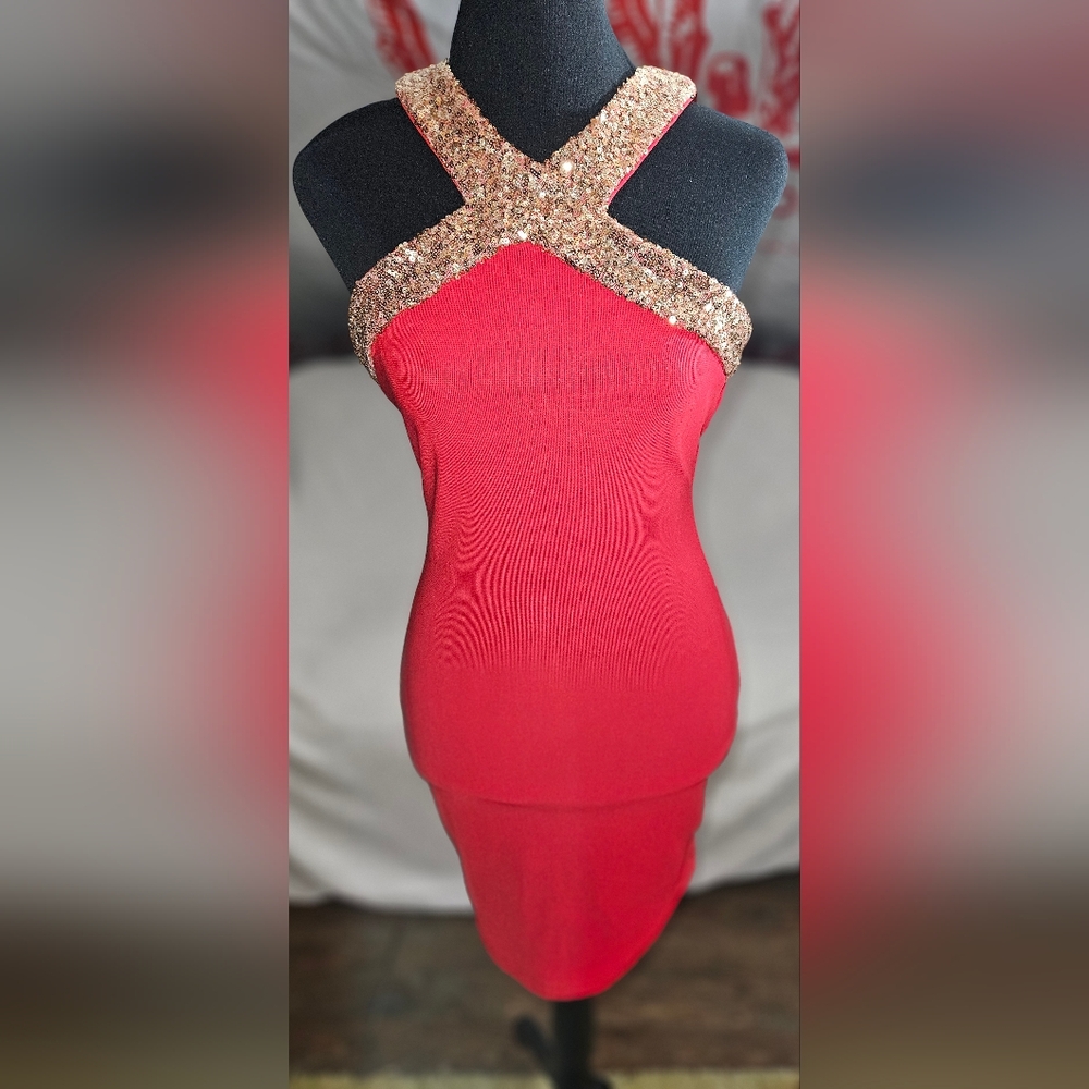 Red Clover Party Dress S/M